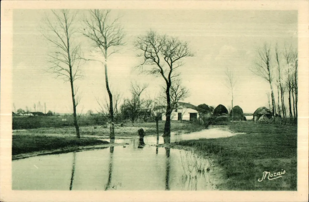 Landschaft des Marais — Vendée — J. Nozais, Verlag Nantes - Vorderseite