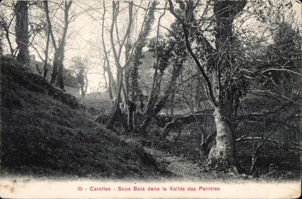 Carolles - Unterholz in der Maler-Tal — n°39 - Vorderseite