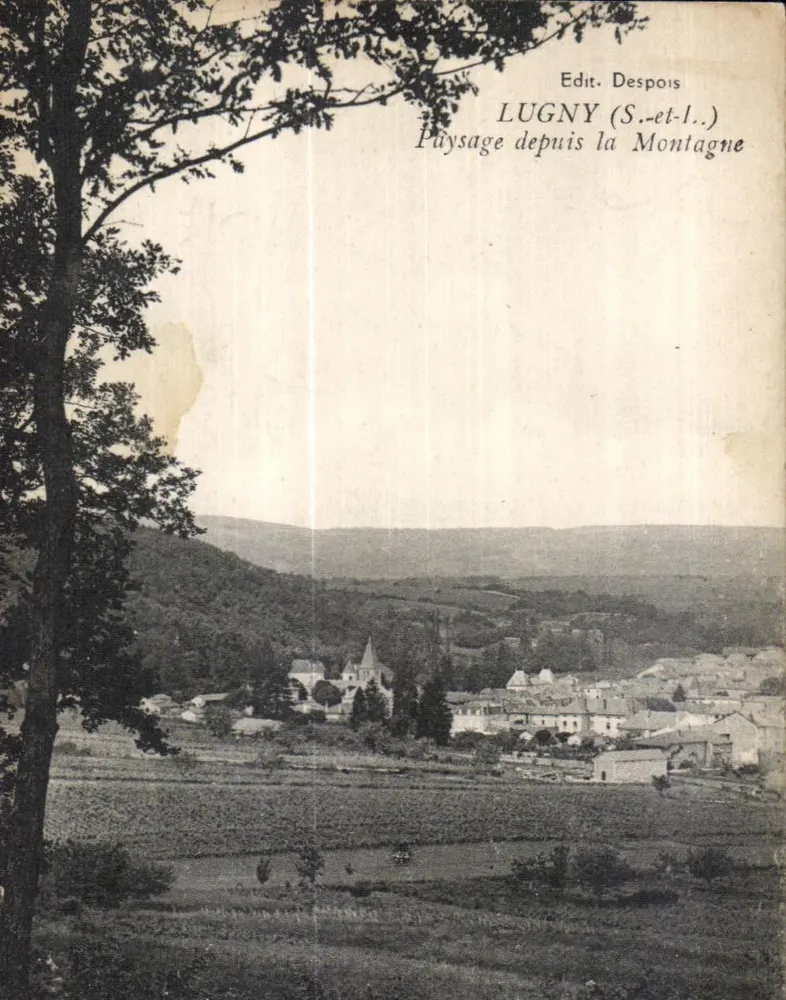 Lugny (S.-et-L.) — Ansicht von der Bergseite — Verlag Despois - Vorderseite