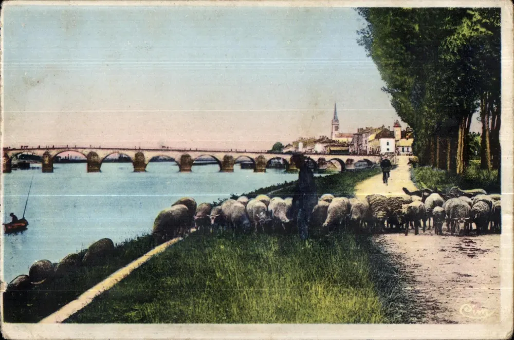 De oevers van de Saône — uitzicht op de brug en een kudde — uitgever C. M. (drukker) - Voorkant