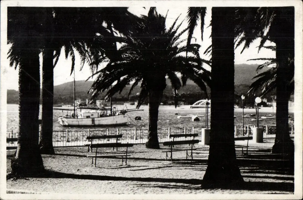 Sainte-Maxime-sur-Mer — Place des Palmiers — Édition Gualtieri - Frente