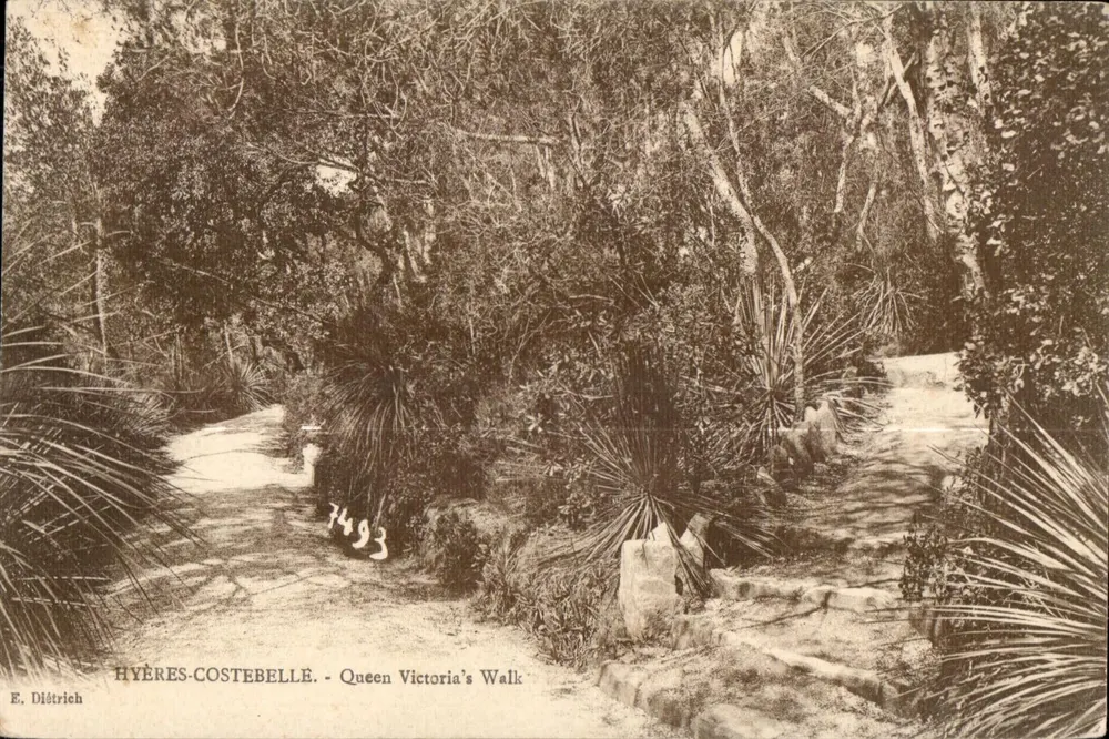 Hyères-Costebelle - Queen Victoria's Walk — E. Diétrich - Vorderseite