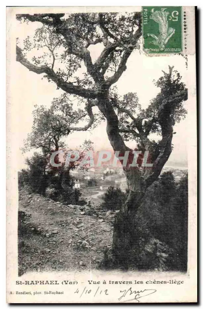 सेंट-राफाएल (वार) — चीकू के पेड़ों के माध्यम से दृश्य — ए. बैंडिएरी, फोटो. सेंट-राफाएल - आगे