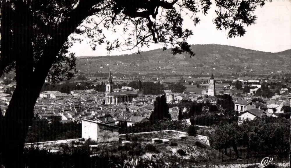 Draguignan — Vista através dos olivais — Cap - Frente