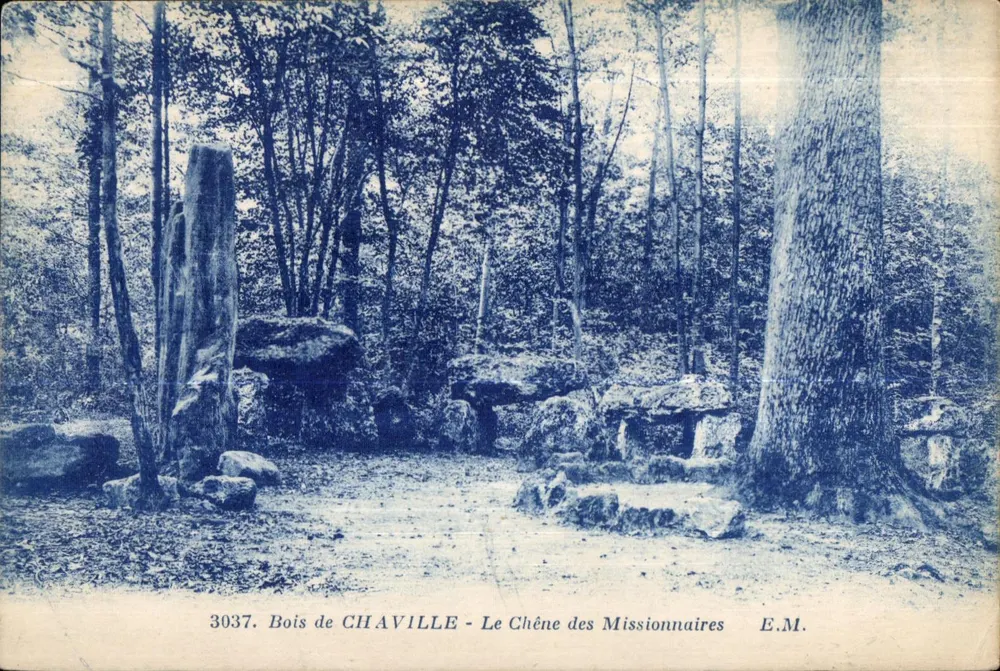 Bois de CHAVILLE - Der Eiche der Missionare — E.M. n°3037 - Vorderseite