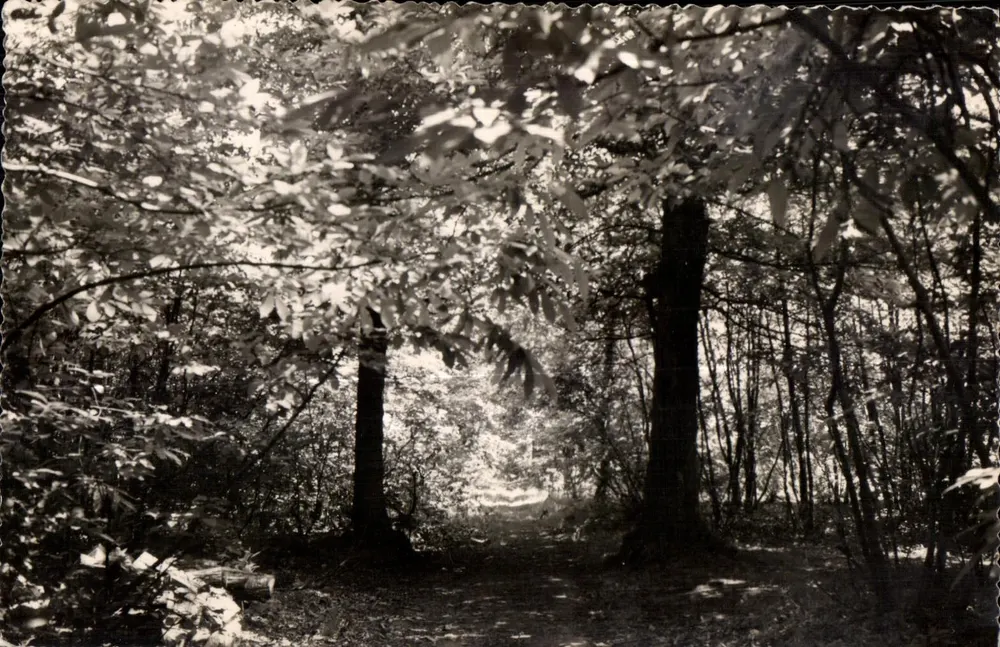 Floresta de Hautil — Sob a floresta — Berthier-GF-ÉLay - Frente