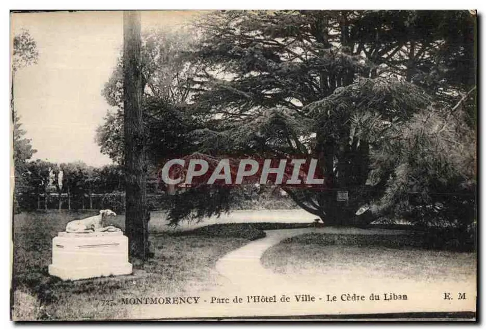 Montmorency - Park des Rathauses - Der Zedernbaum des Libanon — E. M. - Vorderseite