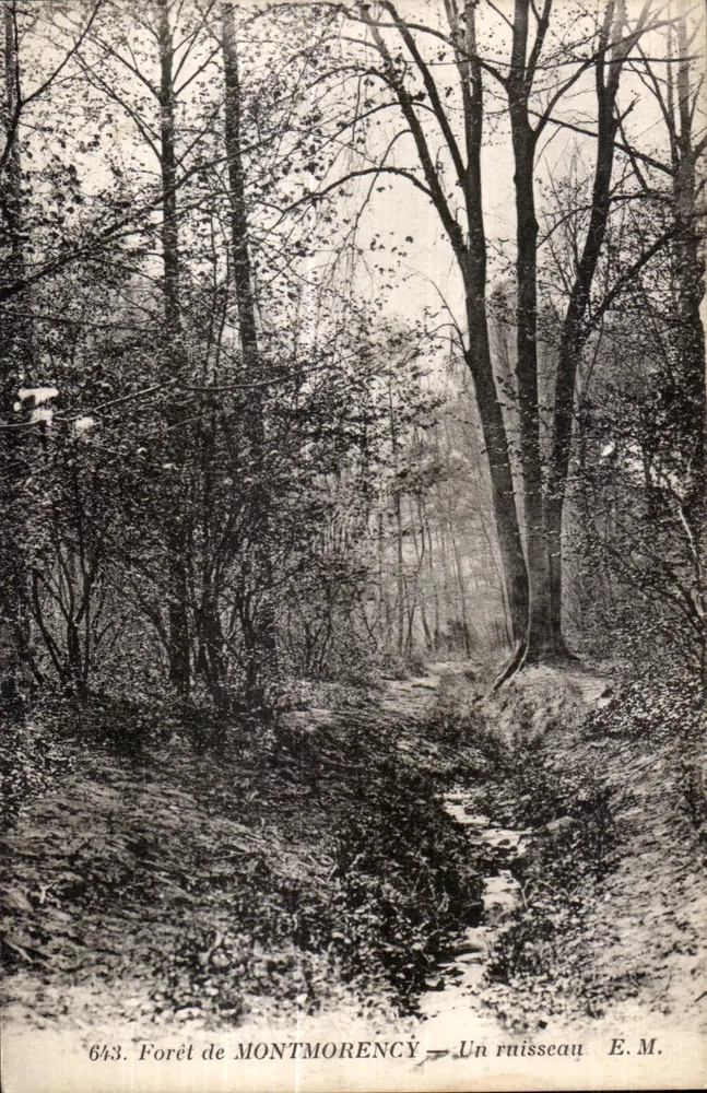 Forêt de Montmorency — Ein Bach — E.M. Nr. 643 - Vorderseite