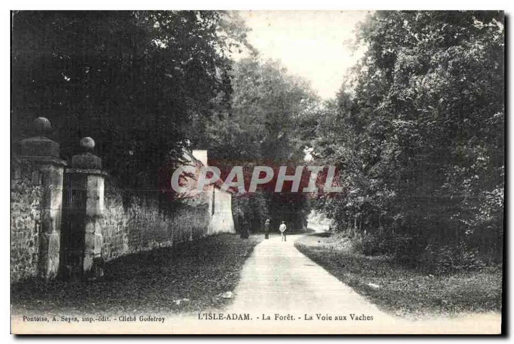 L'Isle-Adam - Der Wald - Der Weg der Kühe — Pontoise, A. Seyes, Verleger - Fotografie Godelroy - Vorderseite