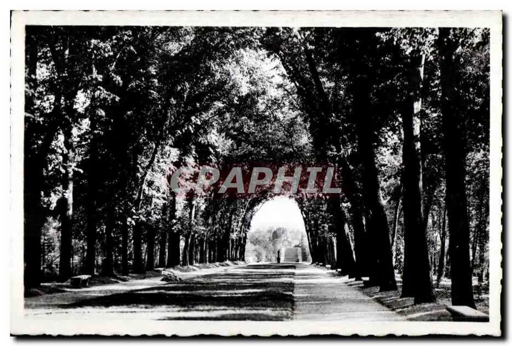 Allée del parco di Sceaux — vista sotto un tunnel di alberi — editore A.C. 2 - Recto