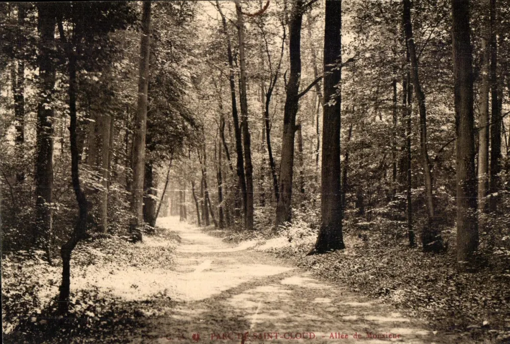 Parc de Saint-Cloud — Allée de Monniéque — C. M. - Frente