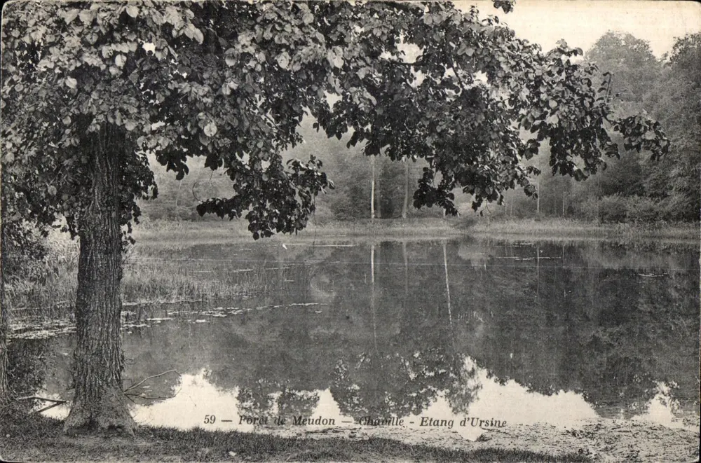Lago de Ursine — Floresta de Meudon — Chaville — n°59 - Frente