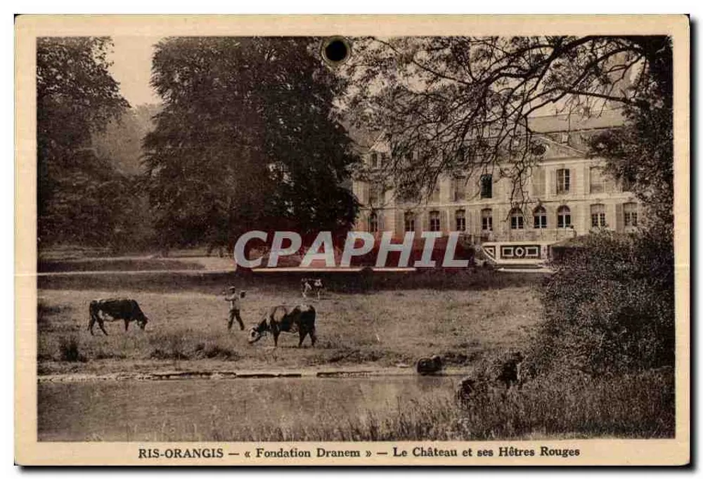 Ris-Orangis — « Fondation Dranem » — Das Schloss und seine roten Buchen - Vorderseite