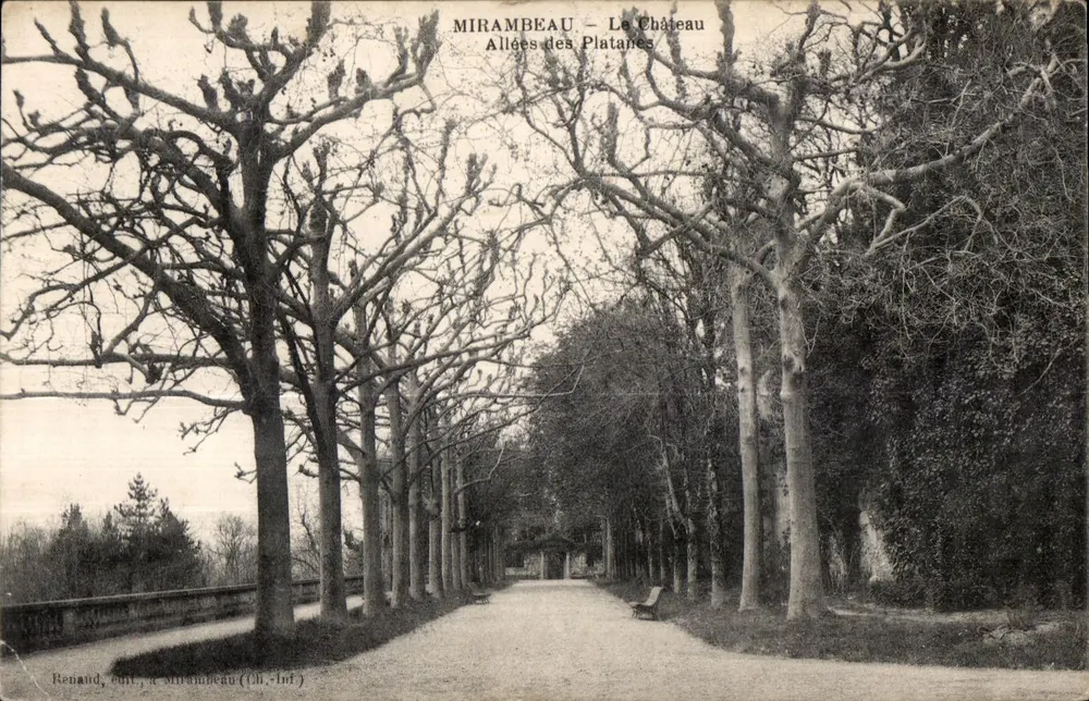 Mirambeau — Das Schloss — Allées des Platanes — Renand, Verlag in Mirambeau (Ch.-Inf.) - Vorderseite