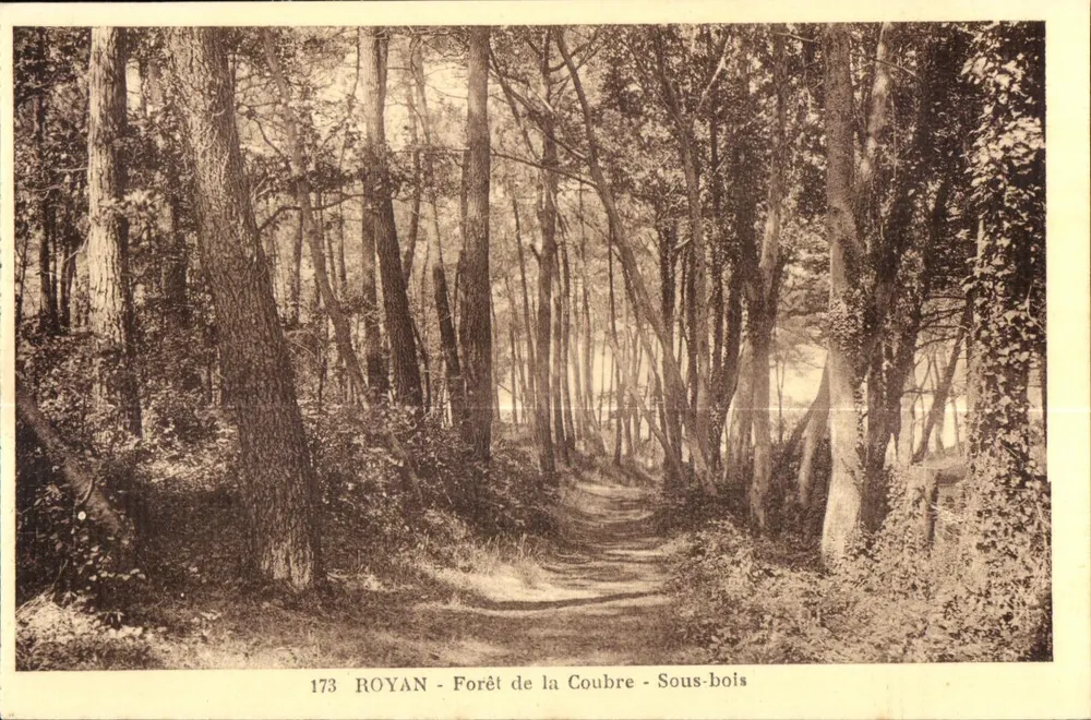 ROYAN - Floresta da Coubre - Subfloresta — Edição dos Tramways de Royan, n° 173 - Frente