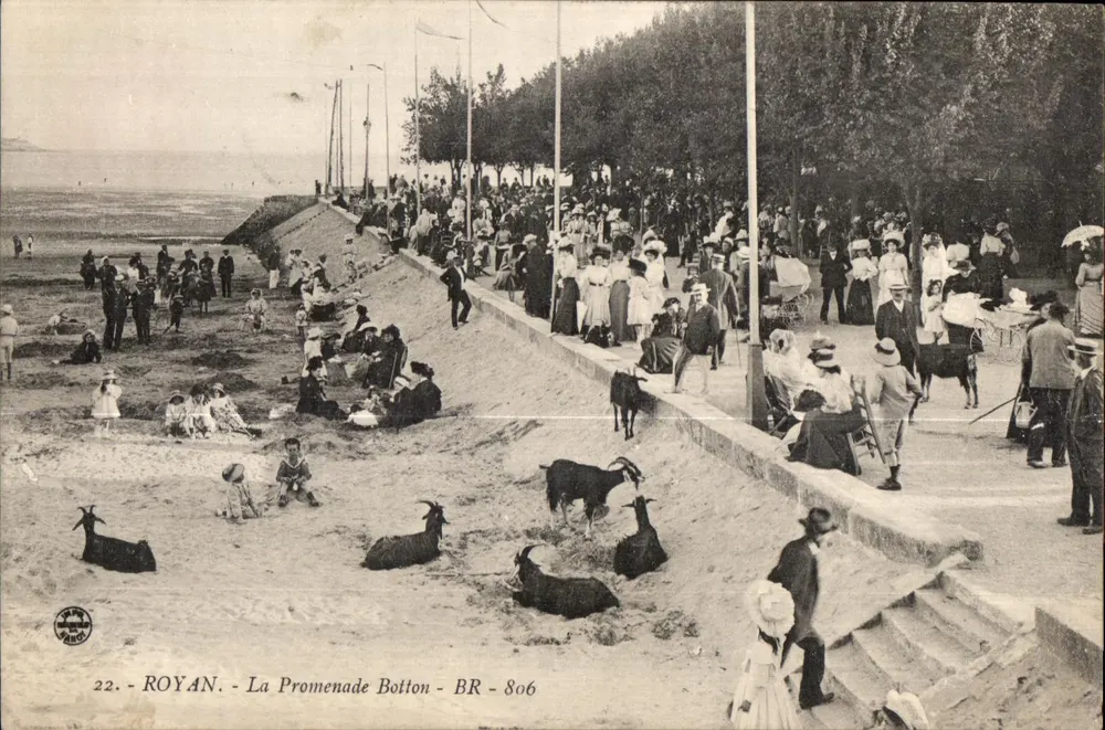 Royan - A Promenade Botton - BR-806 - Frente