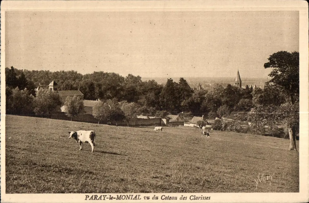 Paray-le-Monial vom Coteau des Clarisses aus gesehen — Panoramablick mit Kuh im Vordergrund — Verleger J. Vory - Vorderseite