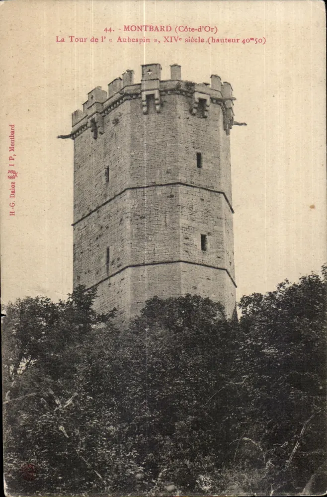 Montbard (Côte-d'Or) — Die Turm des « Aubespin », 14. Jahrhundert (Höhe 40m50) - Vorderseite