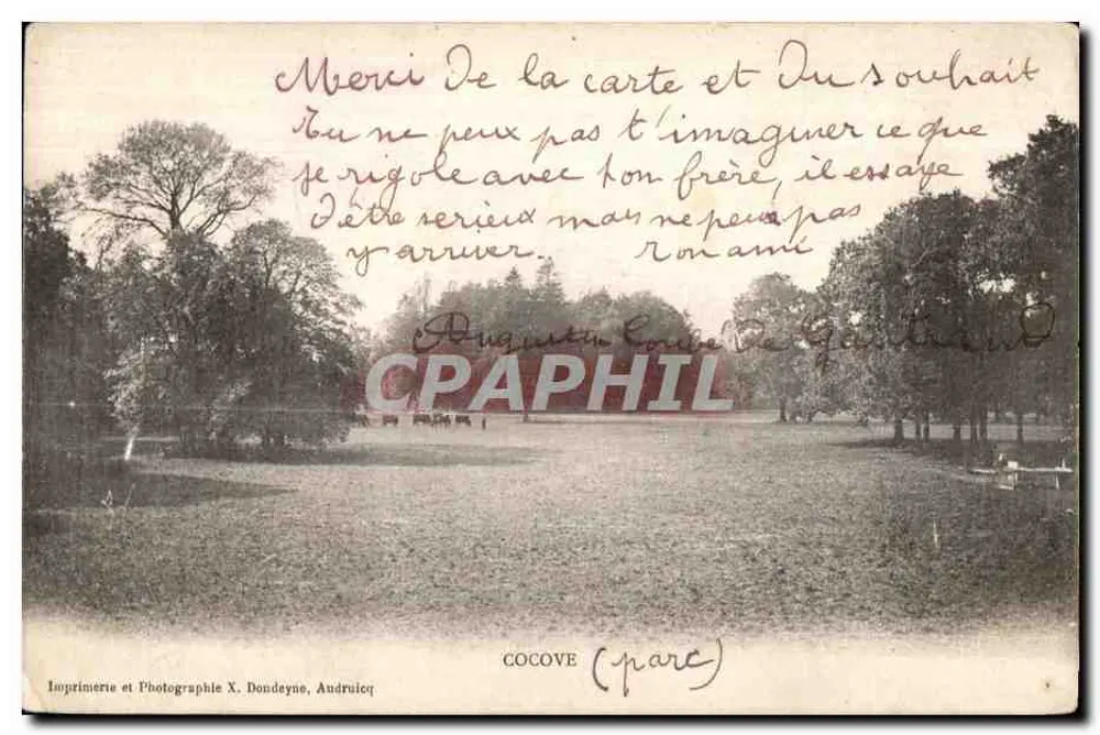 Cocove (parc) — parc arboré avec étang — Imprimerie et Photographie X. Dondeyne, Andruicq - Frente