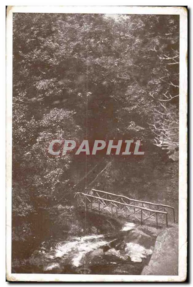 Brücke über einen Bach im Wald - Vorderseite