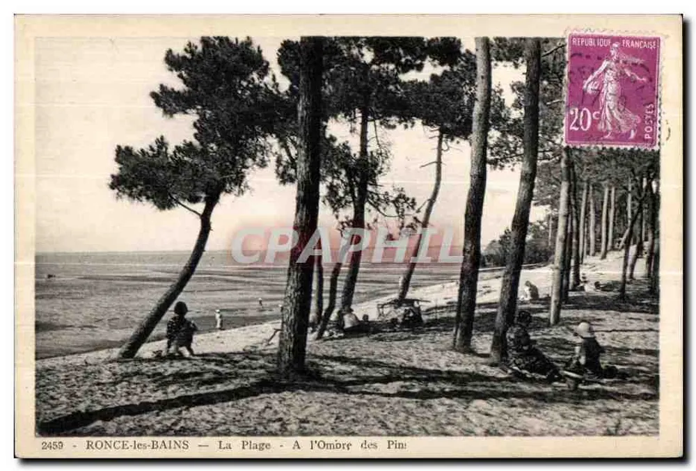 Ronce-les-Bains — Die Strand — Im Schatten der Kiefern - Vorderseite