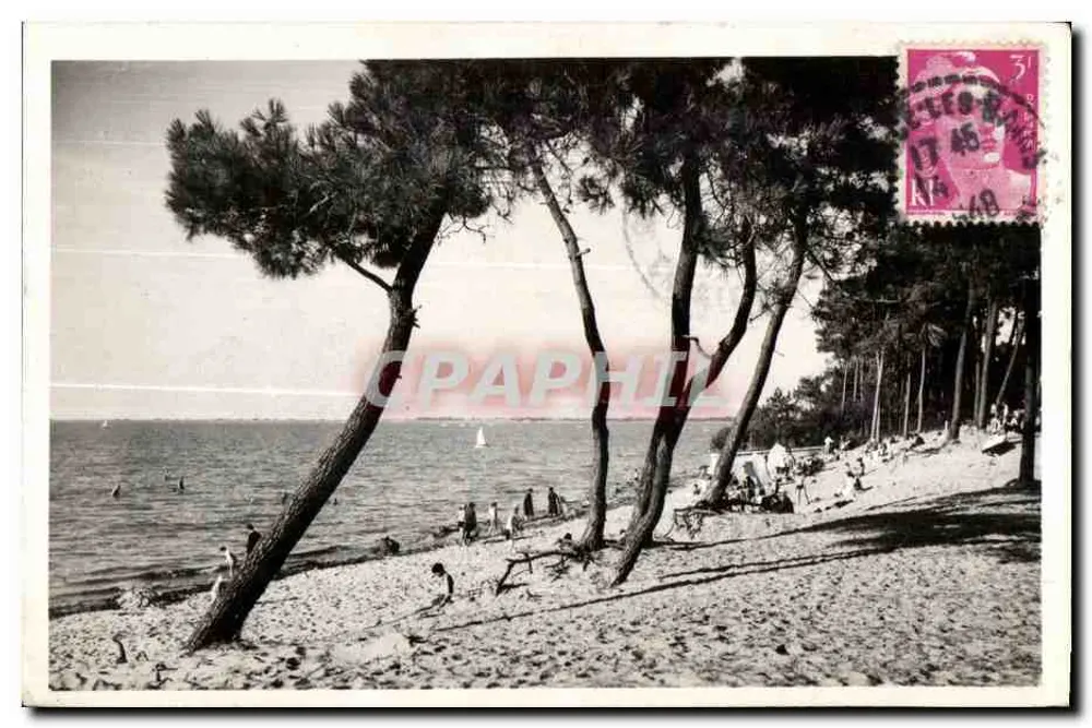 Strand von Sainte-Maxime — Sonnenschirmkiefer — Seriennummer nicht sichtbar - Vorderseite