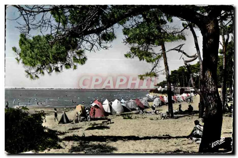 Praia de Sainte-Adresse — banho de mar e barracas — Europ - Frente