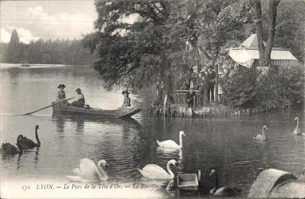 LYON — Ansicht des Sees Buvelle im Parc de la Tête d'Or — Verlag: La Buvelle, Nr. 170 - Vorderseite