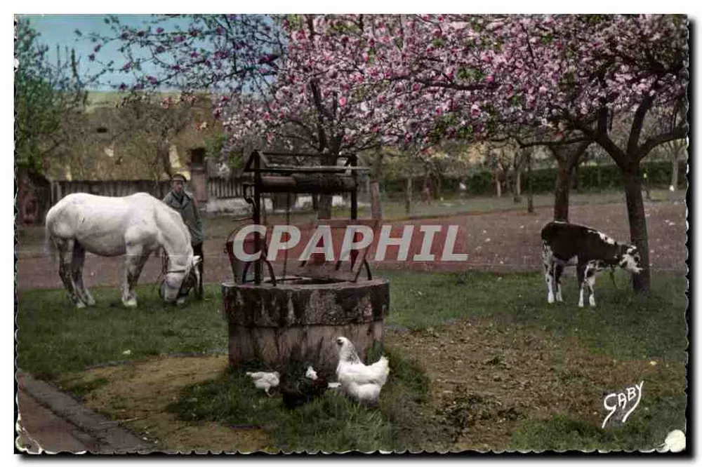 Paisagem rural com poço — Saby - Frente