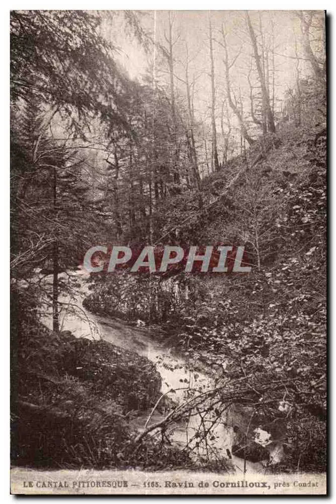 Das pittoreske Cantal — 1165. Ravin de Cornilloux, nahe Condat - Vorderseite