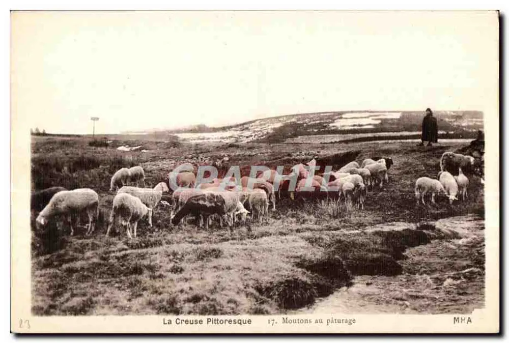 Die Creuse malerisch — Schafe auf der Weide — MHA n°17 - Vorderseite