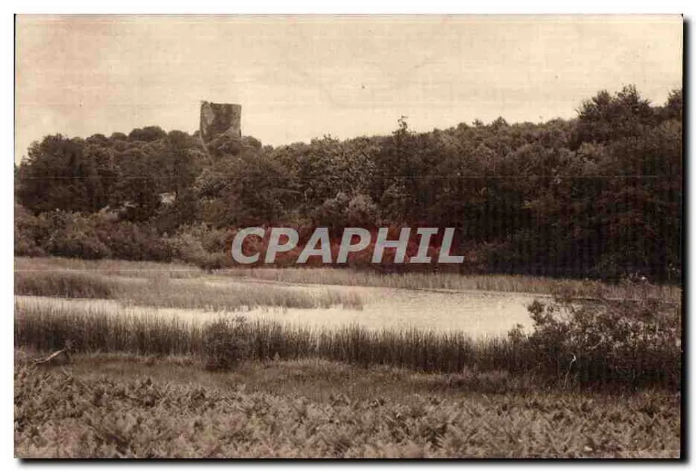 Schloss de la Motte — Ruinen auf einem bewaldeten Hügel — Panoramablick - Vorderseite