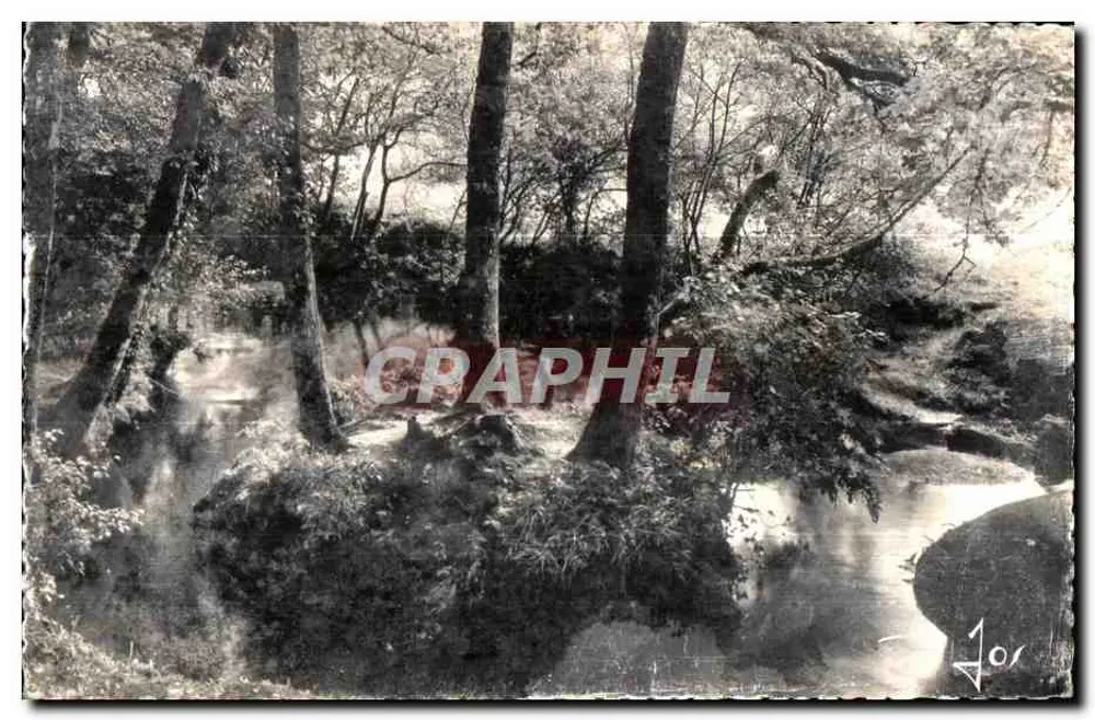 Huelgoat (Finistère) — Avenida Violeta, pequenos ilhotas arborizados contornando o rio — Edições de Arte JOS, Le Béaré - Frente
