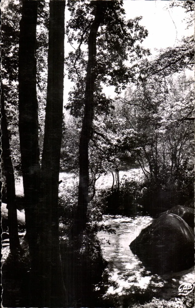 Ruisseau na floresta — Le Huelgoat (Finistère) — Gaby - Frente