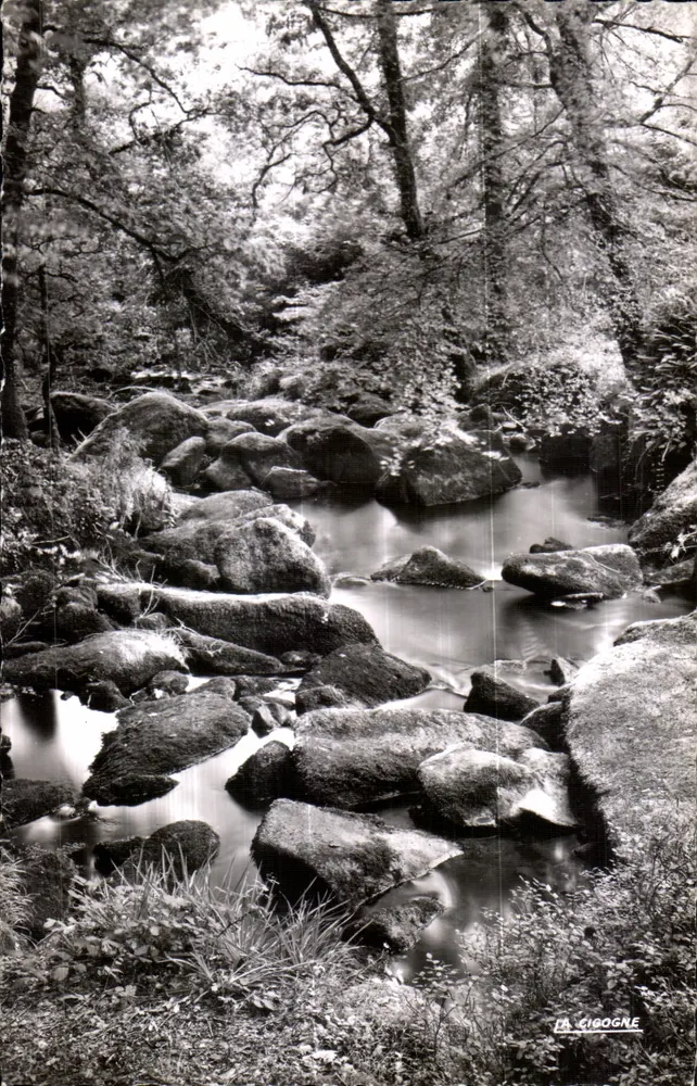 A Cegonha — Rio na floresta — Edições 'La Cigogne' N°15 - Frente