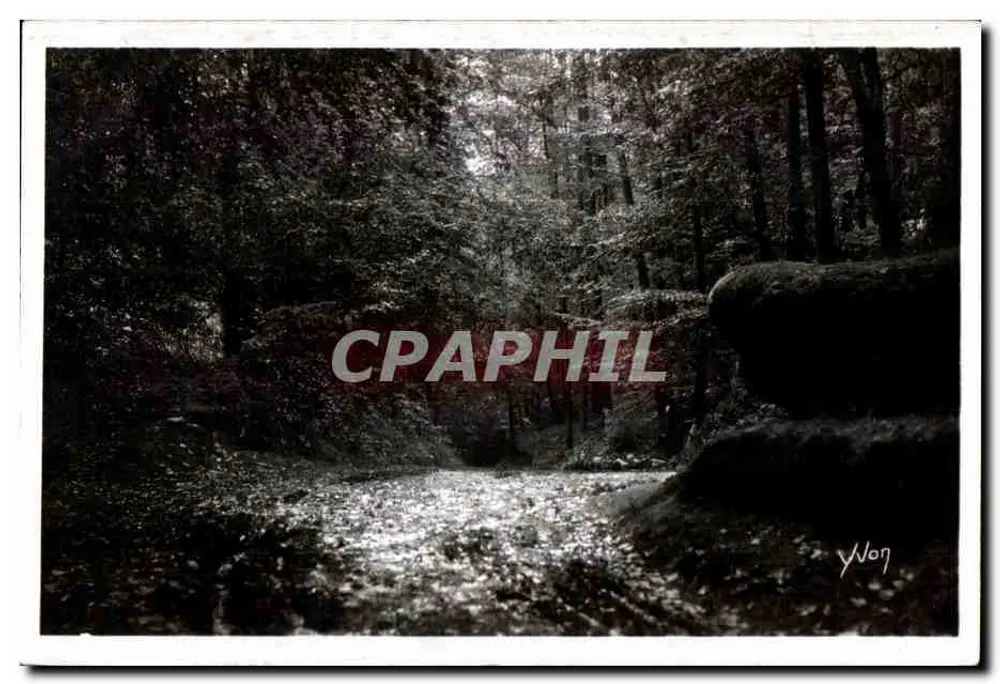 Wald — Bach — Yvon - Vorderseite