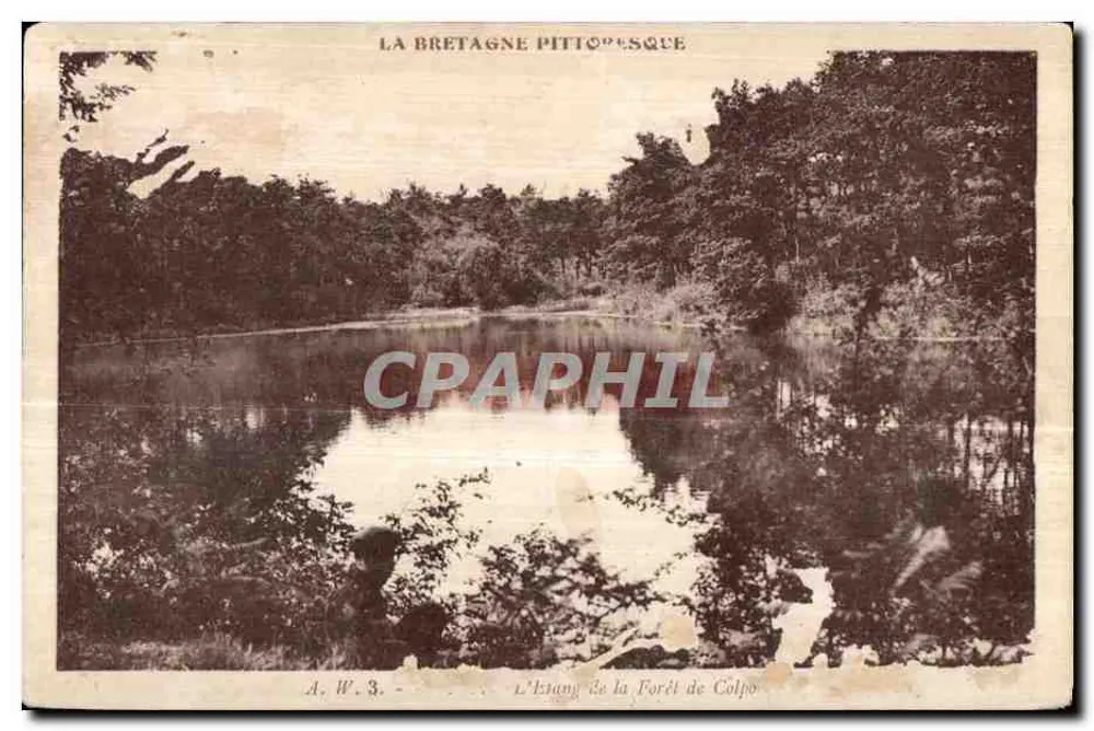 L'Étang de la Forêt de Colpo — vue pittoresque — éditeur A. W. 3. - Vorderseite