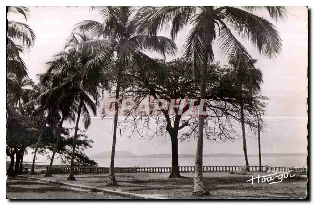 Paisagem costeira com palmeiras — Hoa-gui — editor desconhecido - Frente