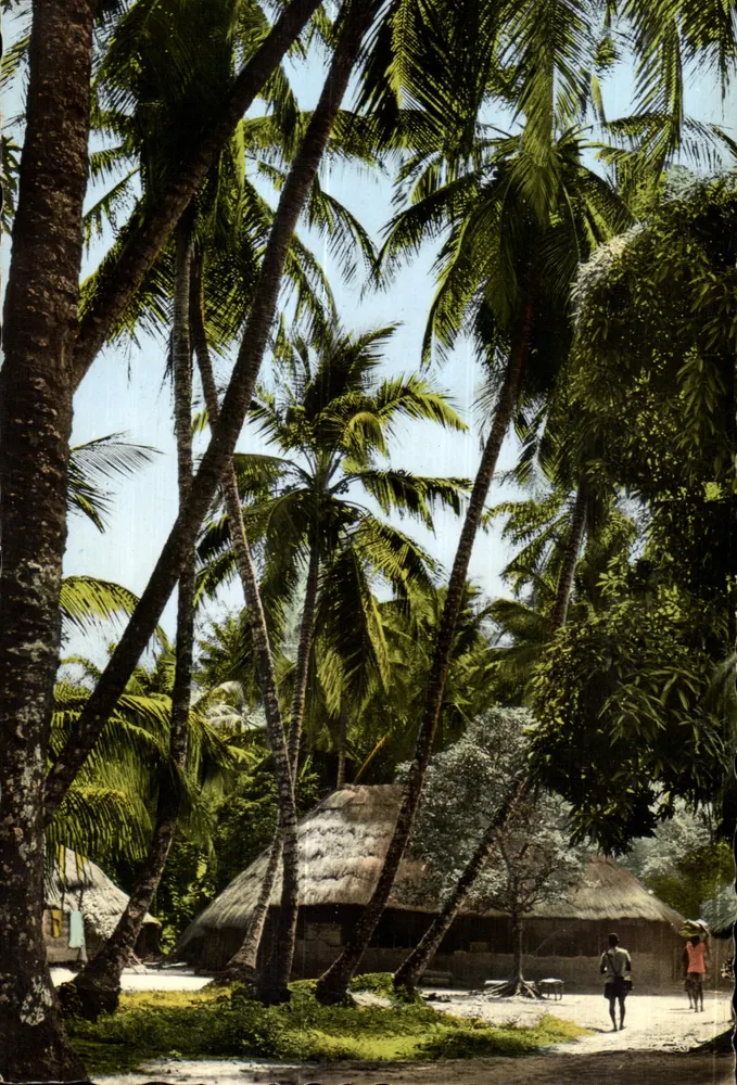 Dorf unter den Palmen — Afrika in Farbe — D.A.Q.U.I.-Ausgabe Nr. 1013 - Vorderseite