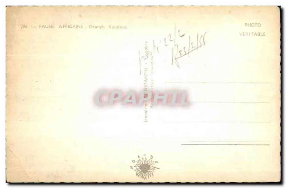Grands Koudous — Fauna Africana — Livraria Constantin - Verso