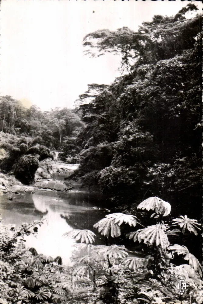 Mayombe — Landschaft der Eisenbahn Congo-Océan — La Arte Africaine, n°36 - Vorderseite