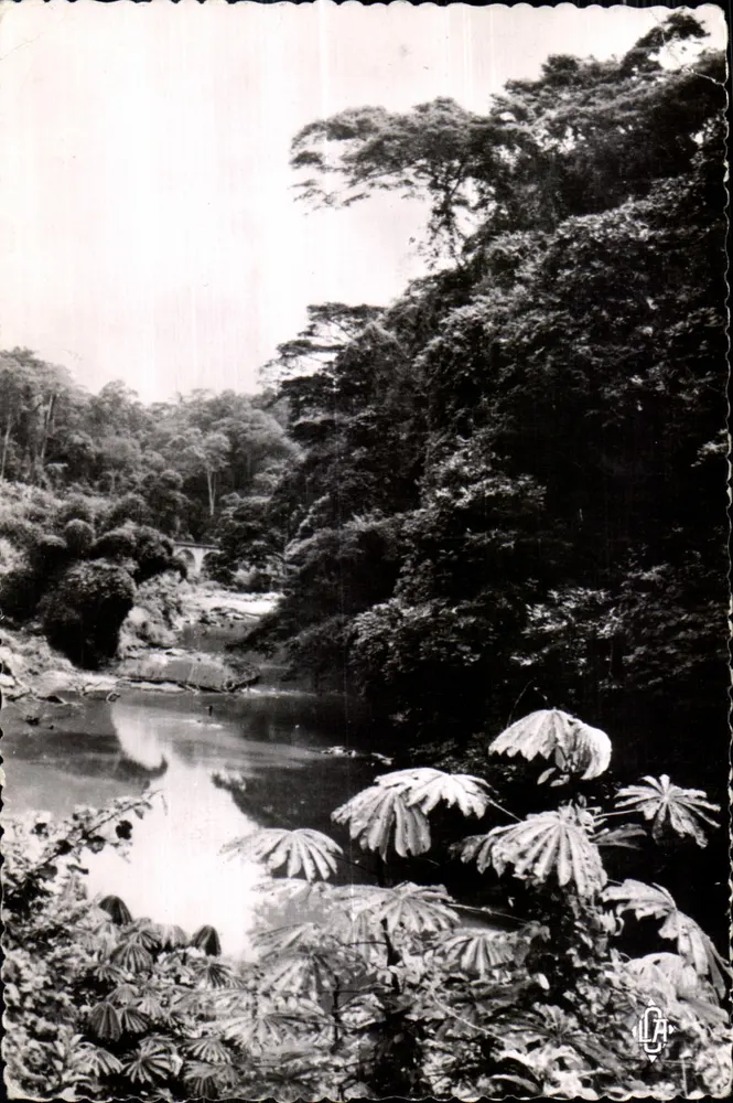 Landschaft von Mayombe — Strecke der Eisenbahn Congo-Océan — Verlag LA CARTE AFRICAINE, n°36 - Vorderseite