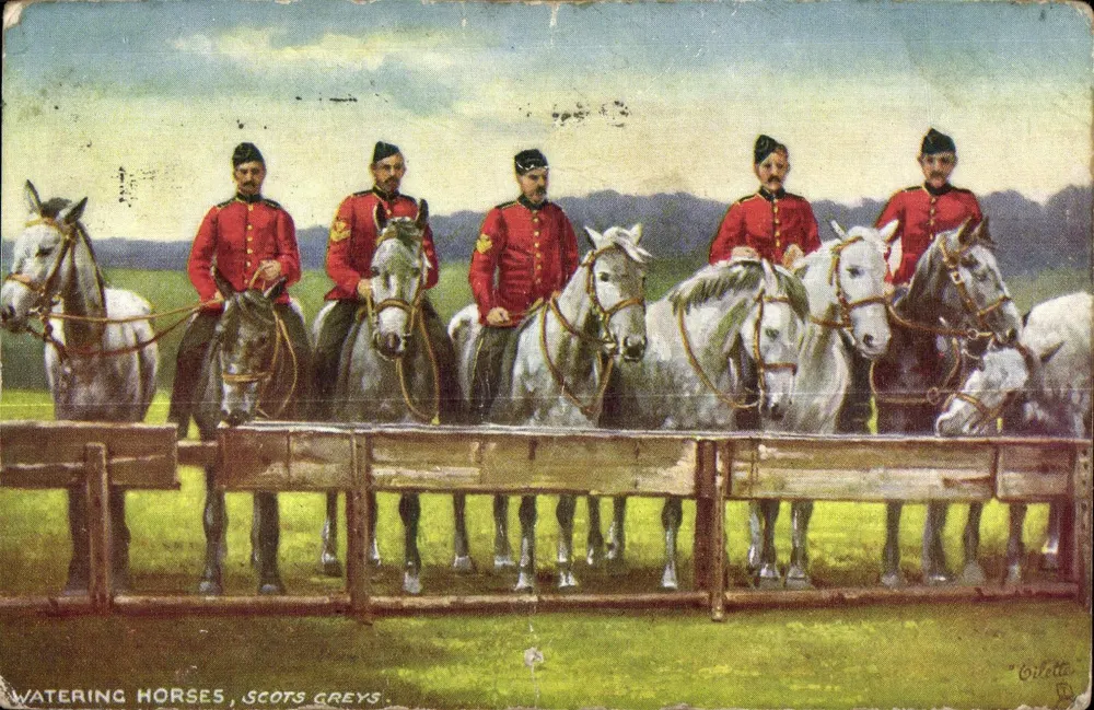 Pferde tränken, Scots Greys — Tuck's Post Card, Verlag Raphael Tuck & Sons - Vorderseite