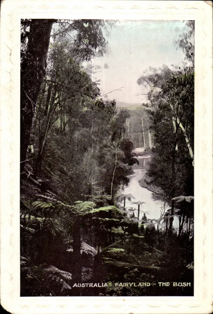 Australien — Waldlandschaft — Verlag nicht sichtbar - Vorderseite