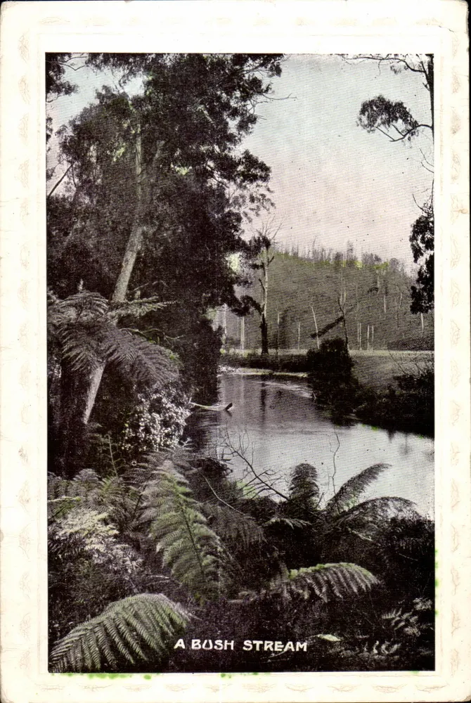 Um riacho da floresta — Austrália — editor não identificado, número de série não visível - Frente