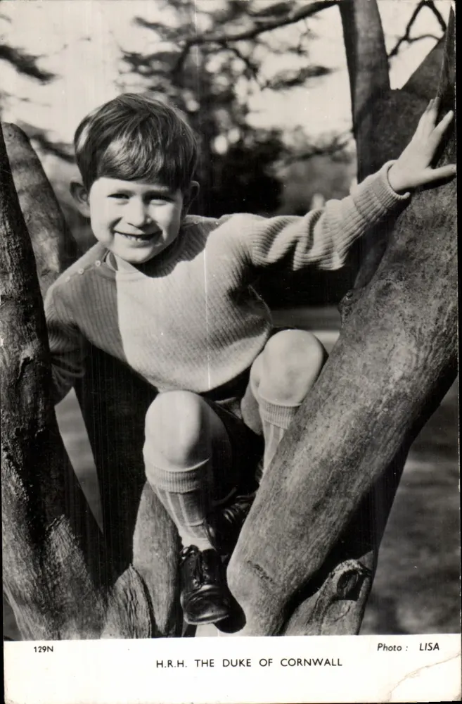 H.R.H. Der Duke of Cornwall — Kind in einem Baum — Foto: LISA, Nr. 129N - Vorderseite