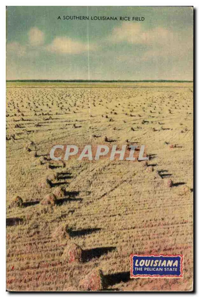 Ein Reisfeld im südlichen Louisiana — Louisiane The Pelican State — MWM Color-Litho, Aurora, N.Y. - Vorderseite
