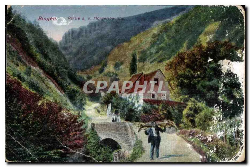 Bingen — Parte del Morgenbachtal — editore non identificato - Recto