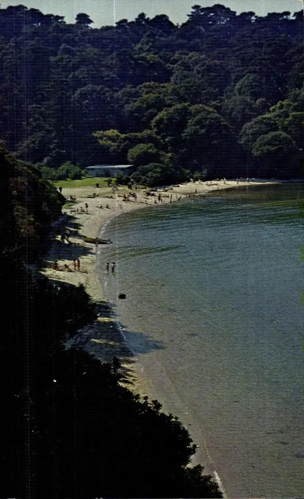 Hearts Desire Beach — Tomales Bay State Park, Kalifornien — Marin Color Cards, n° MCC103 - Vorderseite
