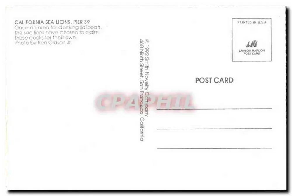 Califórnia, leões-marinhos no Pier 39 — Lawson Mardon Post Card - Verso